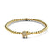 Sanctuary | 18k Gold | Crystal Elephant Charm Bracelet